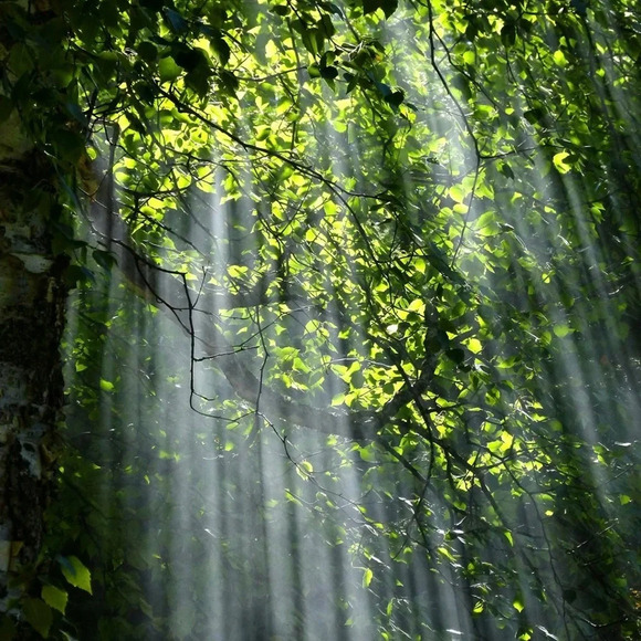 💎💟Women’s Vintage Cloisonné Hand Painted Gold Lines Floral Bangle  Bracelet 8” - Picture 8 of 15